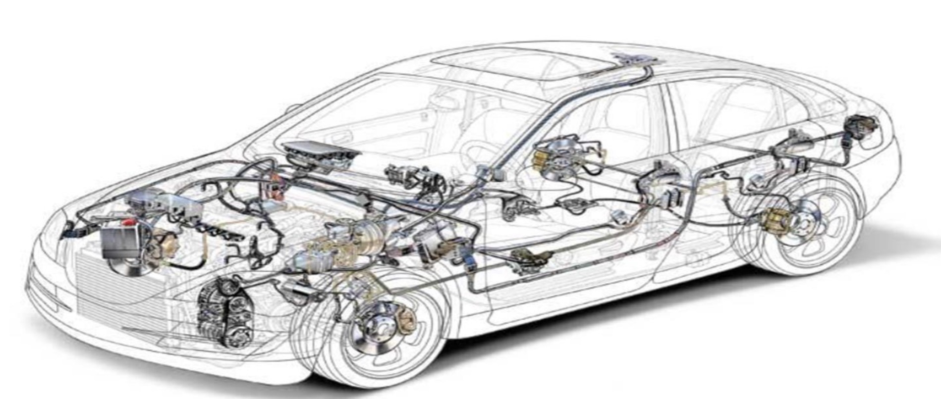 INTERPRETACIÓN DE DIAGRAMAS VW